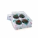 Candy Box 04 Cavidades 44x02un - NATALINO